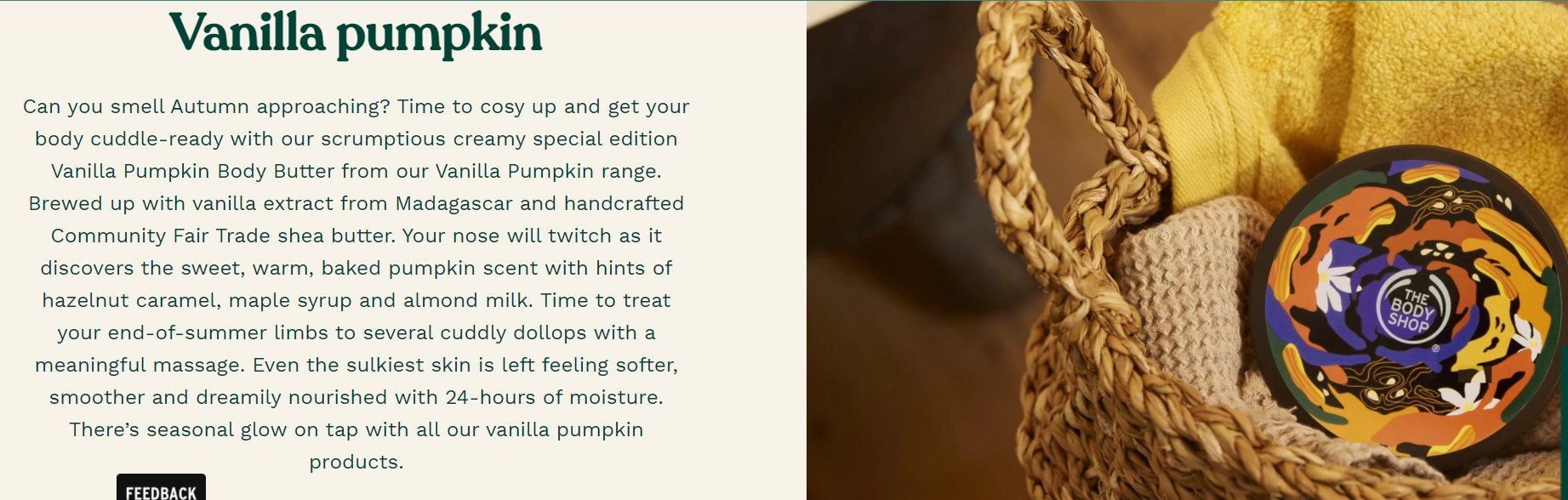 The Body Shop’s&nbsp;2020 Vanilla Pumpkin page on their website&nbsp;